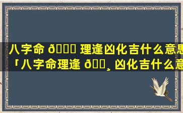 八字命 🐝 理逢凶化吉什么意思「八字命理逢 🕸 凶化吉什么意思啊」